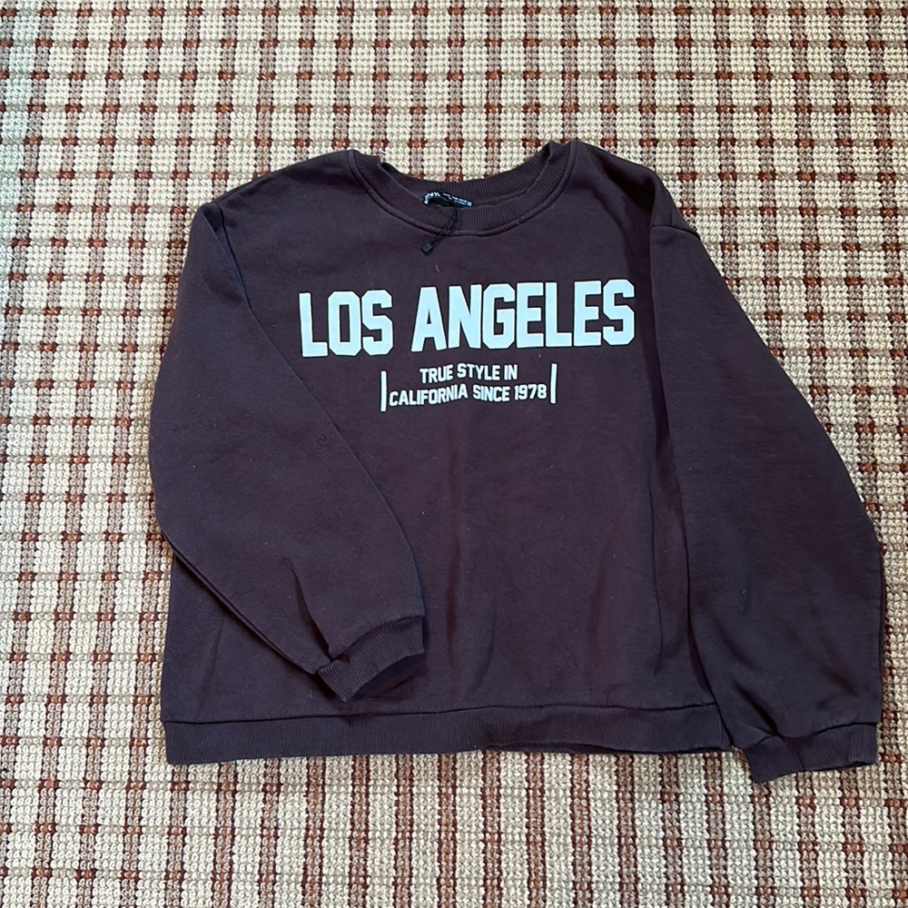 Los Angeles Brown Zara crew neck